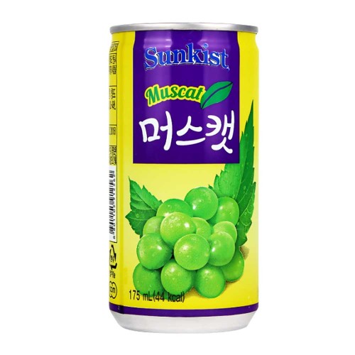 ǰ 